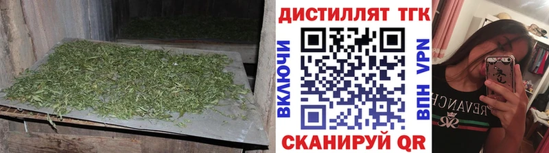 Дистиллят ТГК THC oil  OMG онион  Новоалександровск 