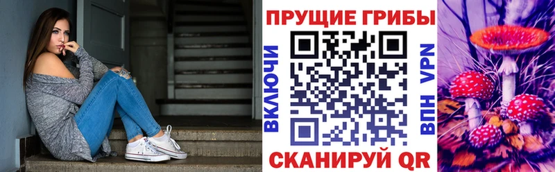 Псилоцибиновые грибы Psilocybe  Новоалександровск 