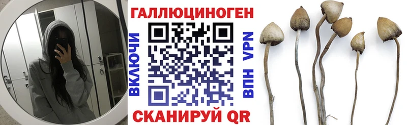 Галлюциногенные грибы Cubensis Новоалександровск