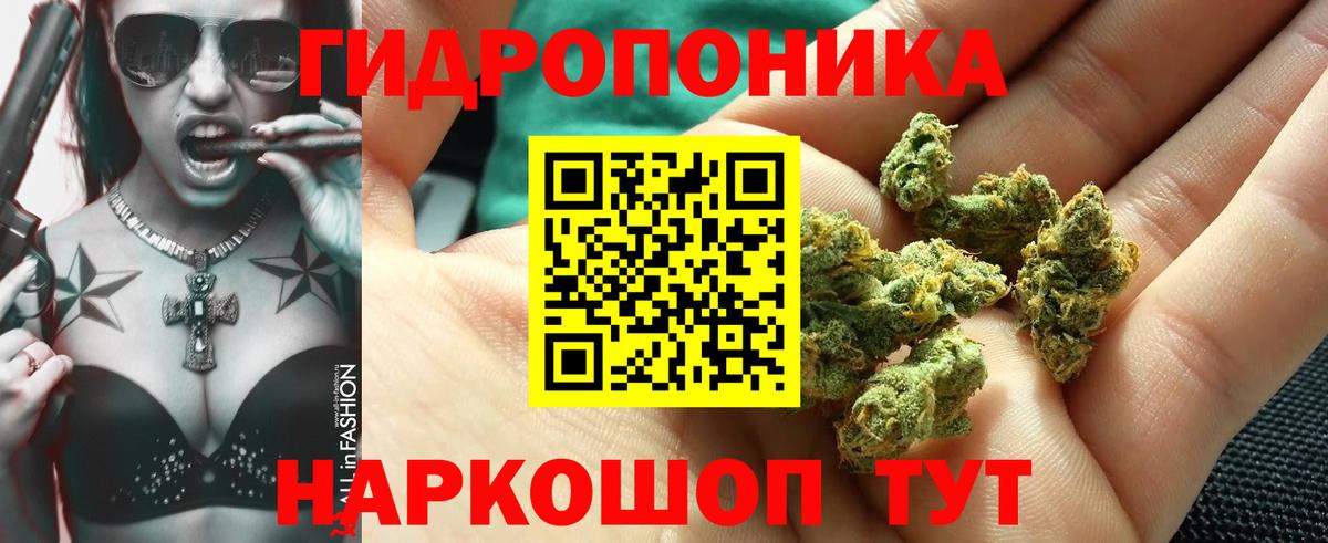 Бошки марихуана THC 21% Новоалександровск